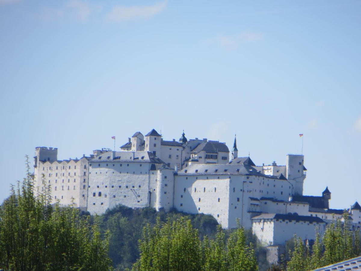 Apartamento Amadeus
