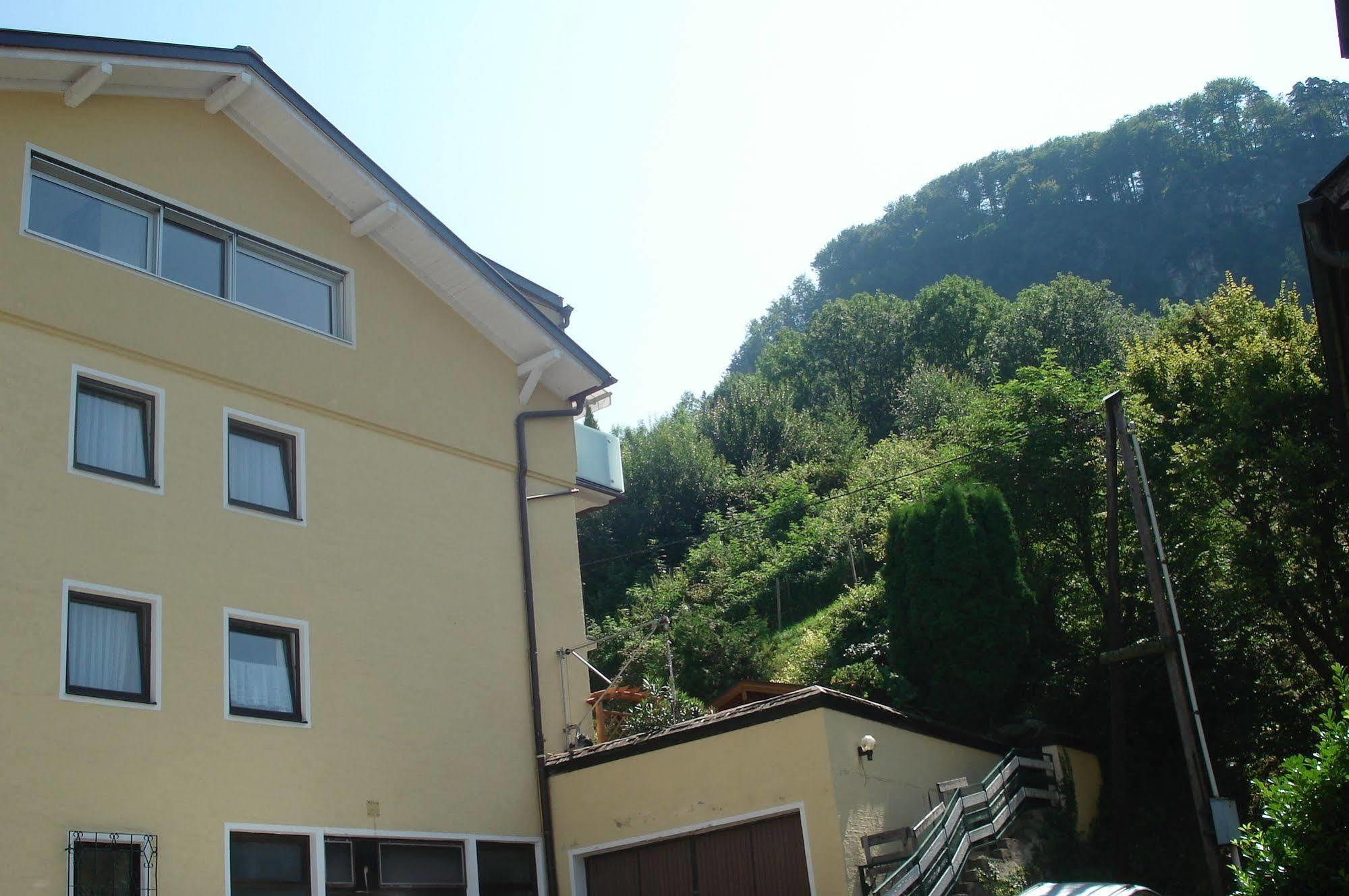 Hofmann Salzburg