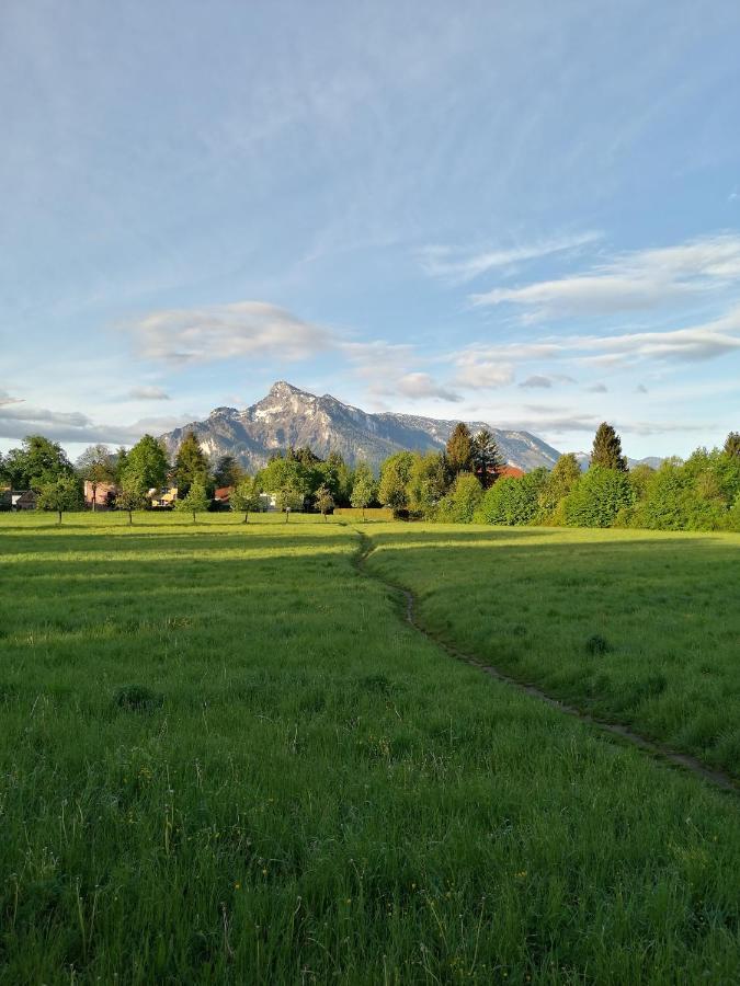 Guest house Katrin 3*