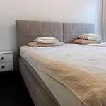 Modern City Apartment Salzburg
