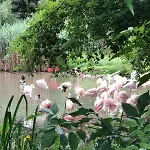 Stadtnaehe Und Doch Mitten In Der Natur