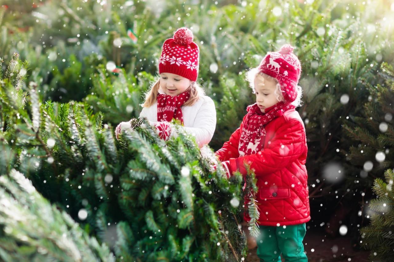 Pousada Family Wellhouse Garden Direct In Salzburg, Sunny Big Garden, Up To 16 Pax, Bikes For Free, Bbq, Sunbeds, Parking For Free, 15 Min Sound Of Music *