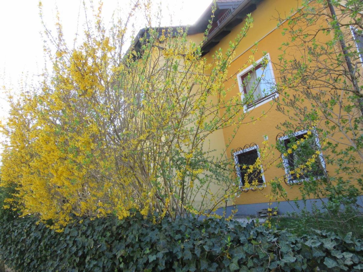 Appartement-heuberg * Salzburg