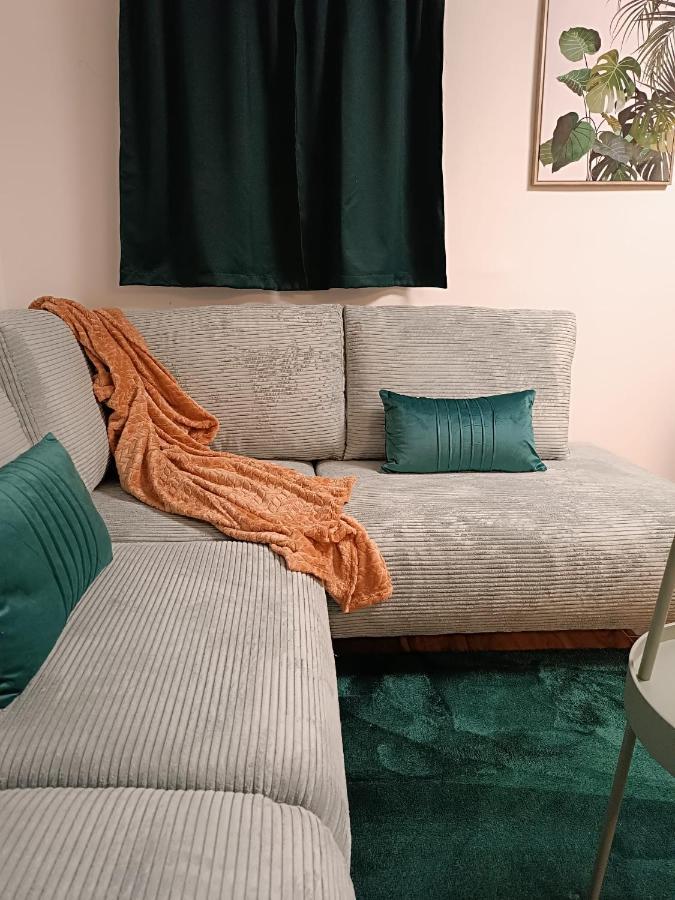 Cozy Apartment