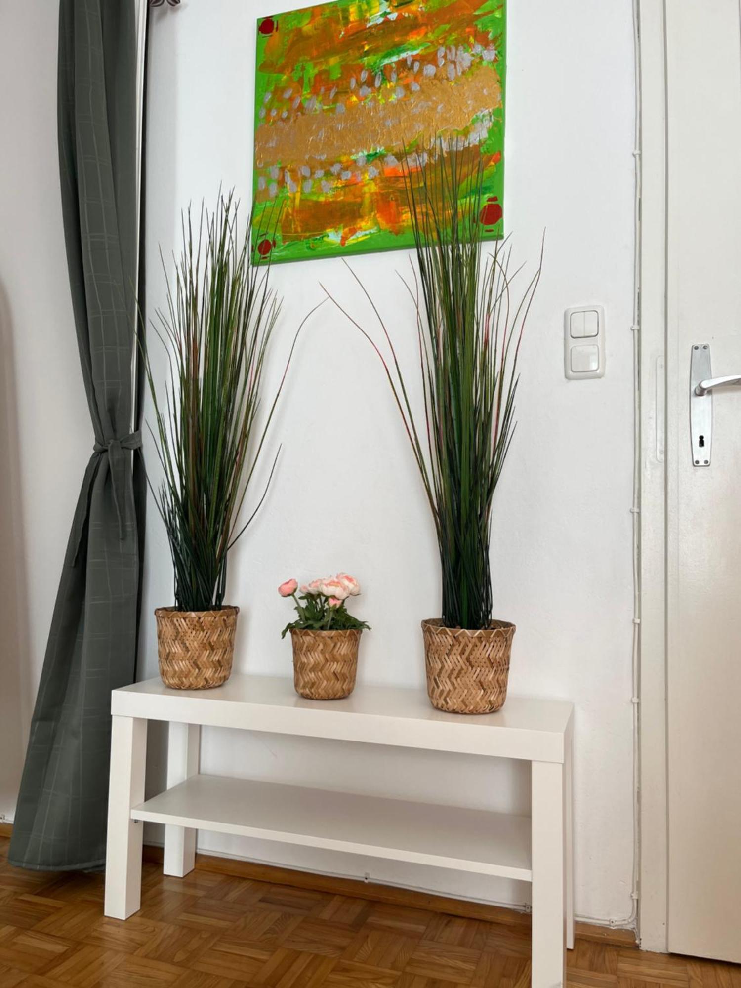 Apartment Antik Chic Mit Gartenblick Salzburg
