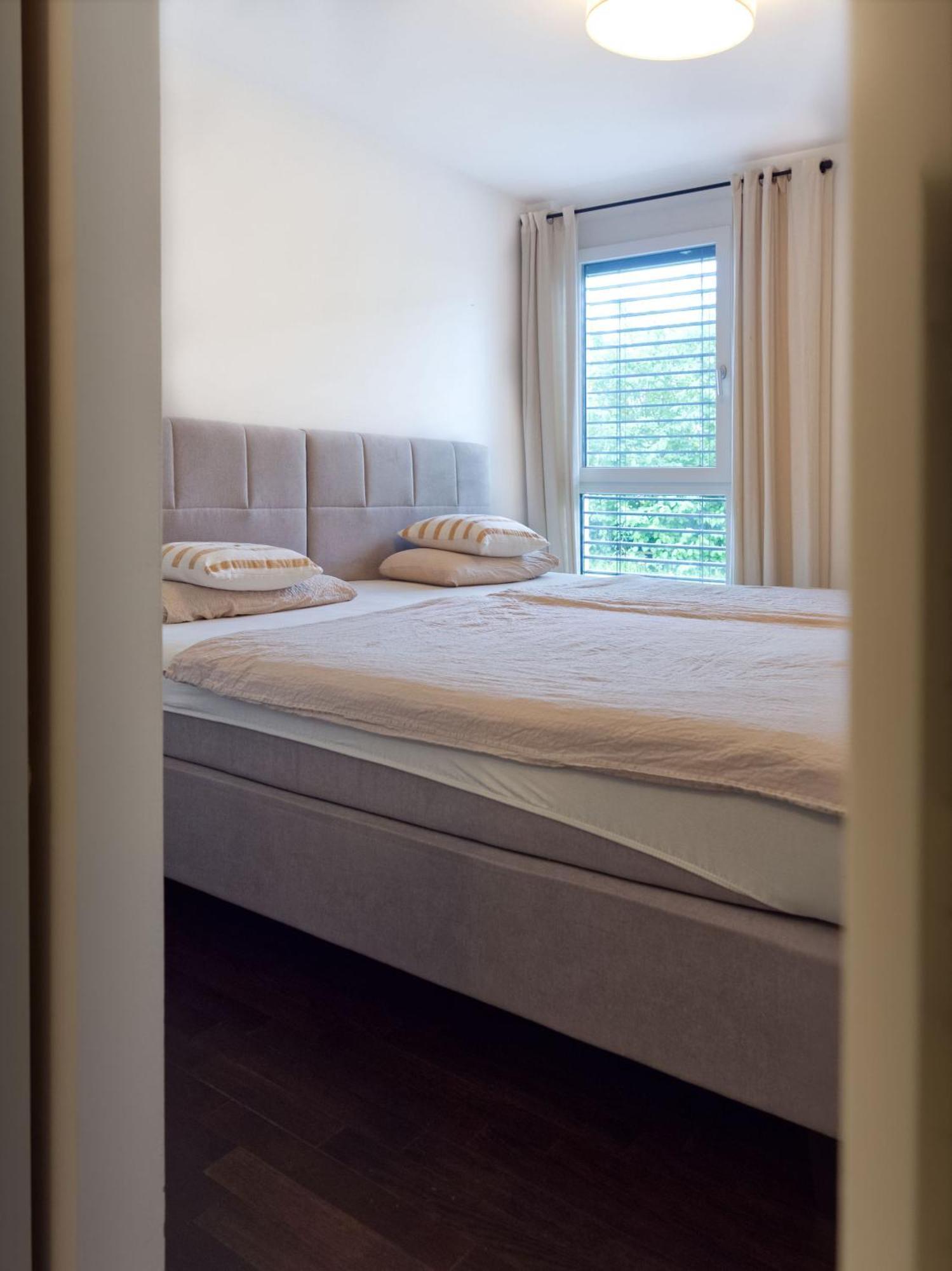 Modern City Apartment