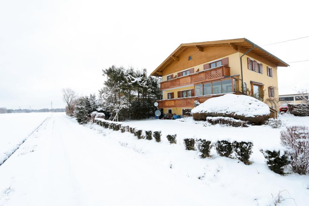 Haus Steiner *