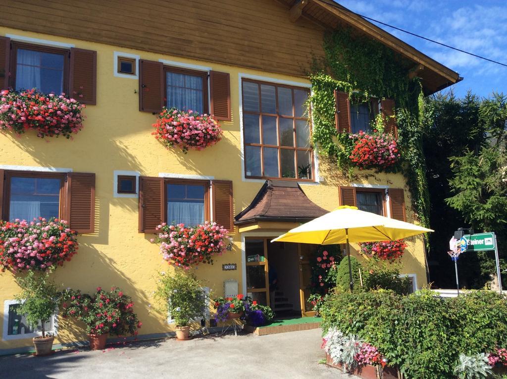 Haus Steiner