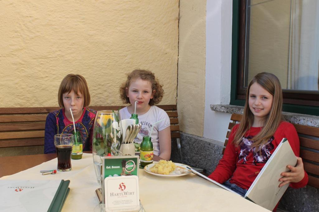 Hotel Hartlwirt Gasthof-hotel 3*