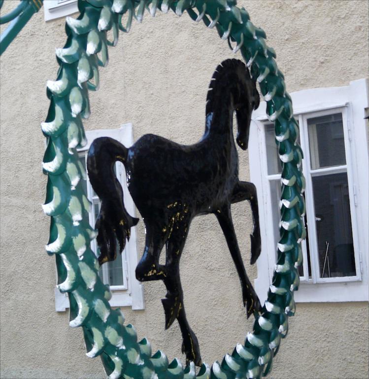 Schwarzes Roessl * Salzburgo