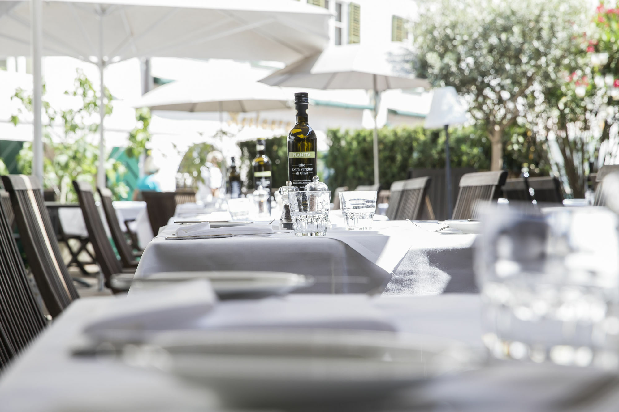 Arthotel Blaue Gans 4*