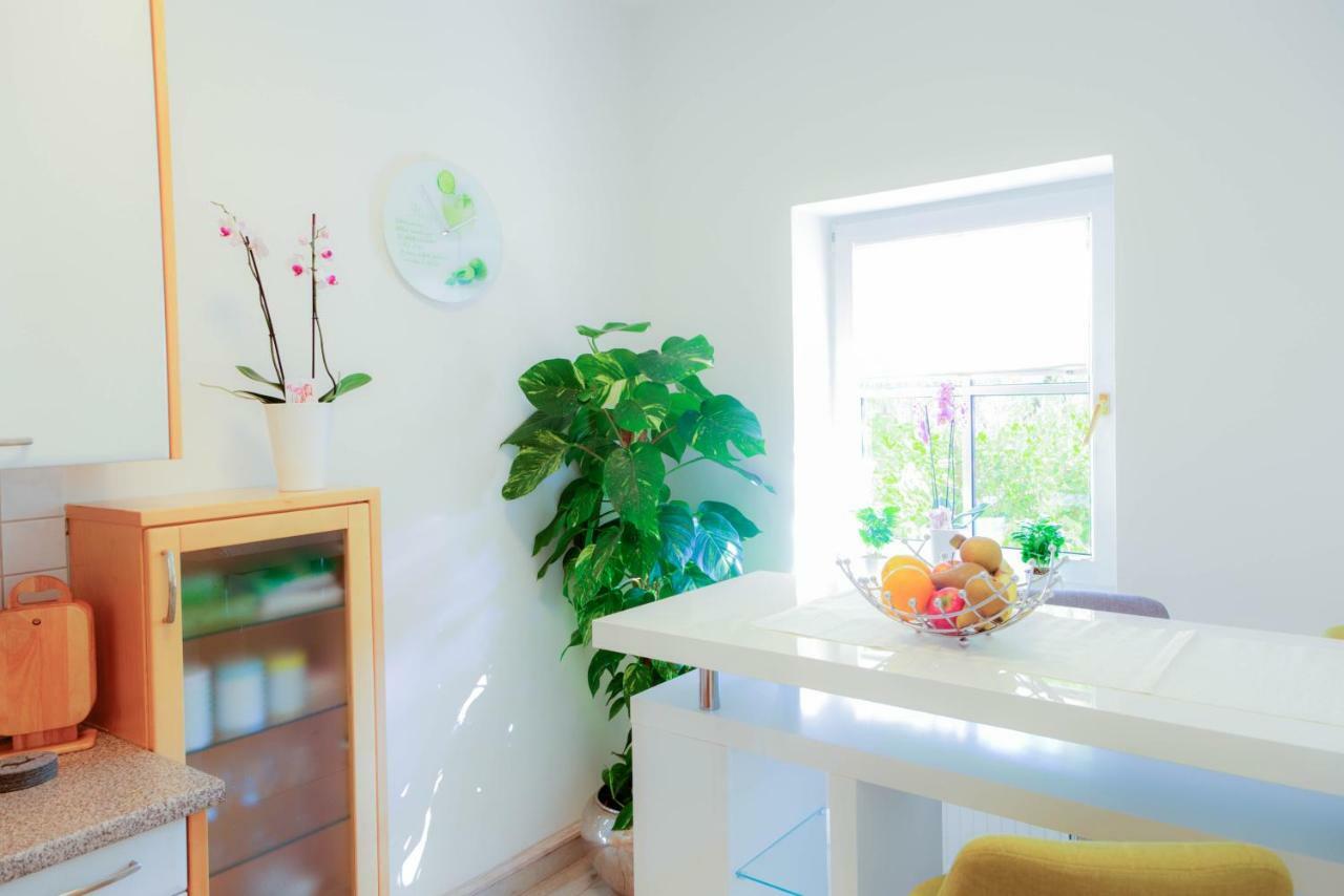 Apartment Maxglan Salzburg
