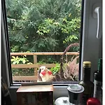Lisa Apartment