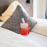 Hotel Rosenvilla