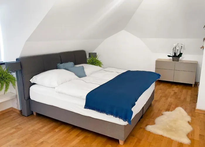 Luxurious Mozart Apartment