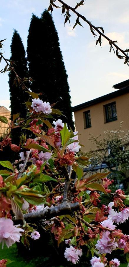 Via Roma Hotel Salzburg