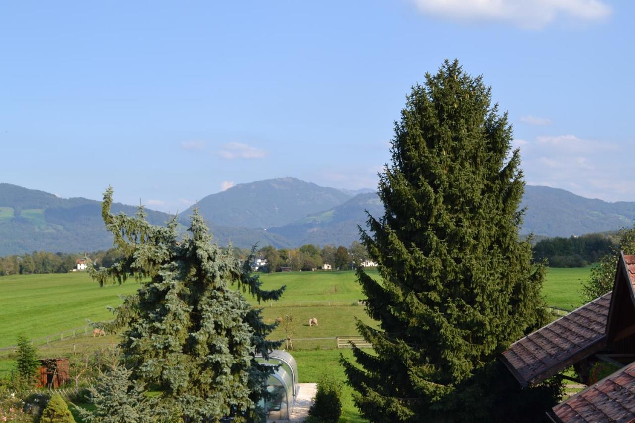 Schmiedhansl Moos * Salzburg