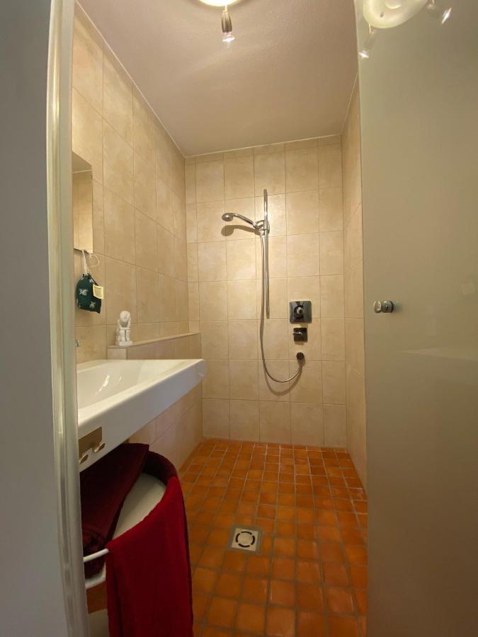 Modernes Alpenapartment Mit Sauna Wintergarten Und Pool Salzburg
