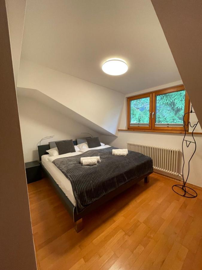 Apartment Undertheroof At