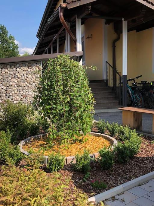 Antik Chic Mit Gartenblick Apartment Salzburg