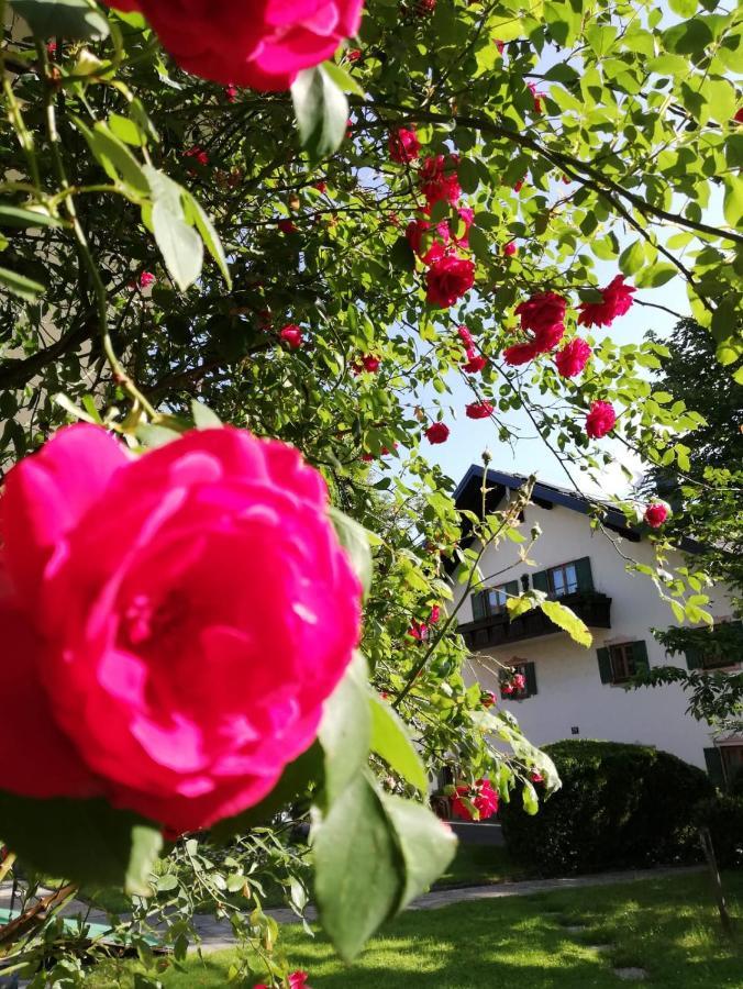 Guest house Fruehstueckspension Helmhof