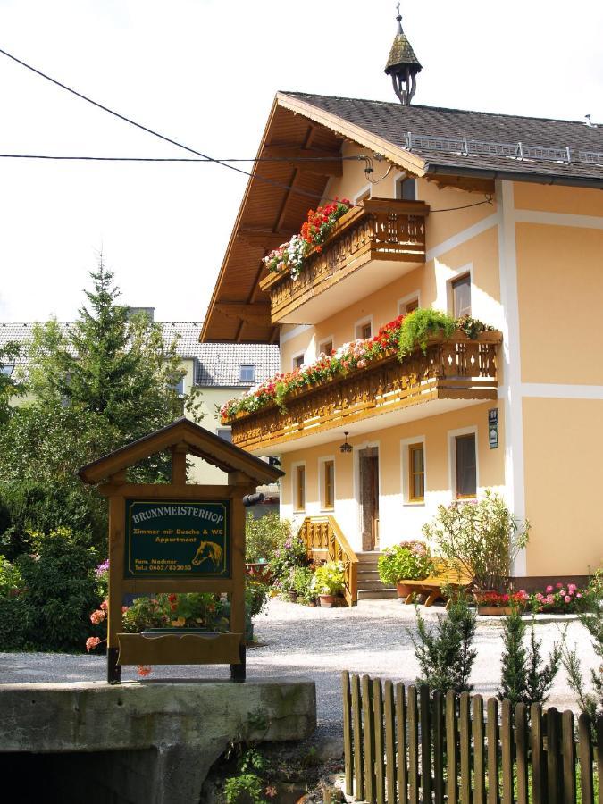 Brunnmeisterhof Apartment Salzburg