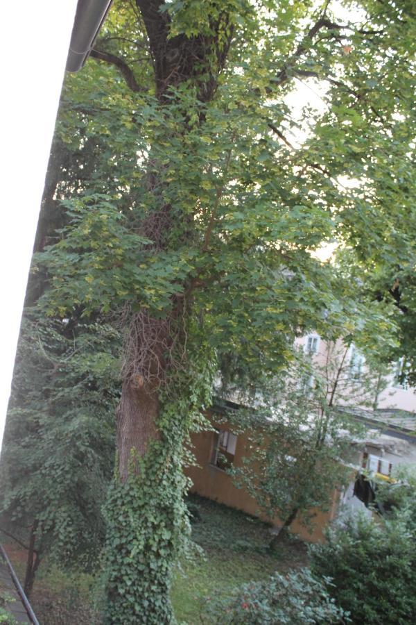 Mozart's Garden Villa