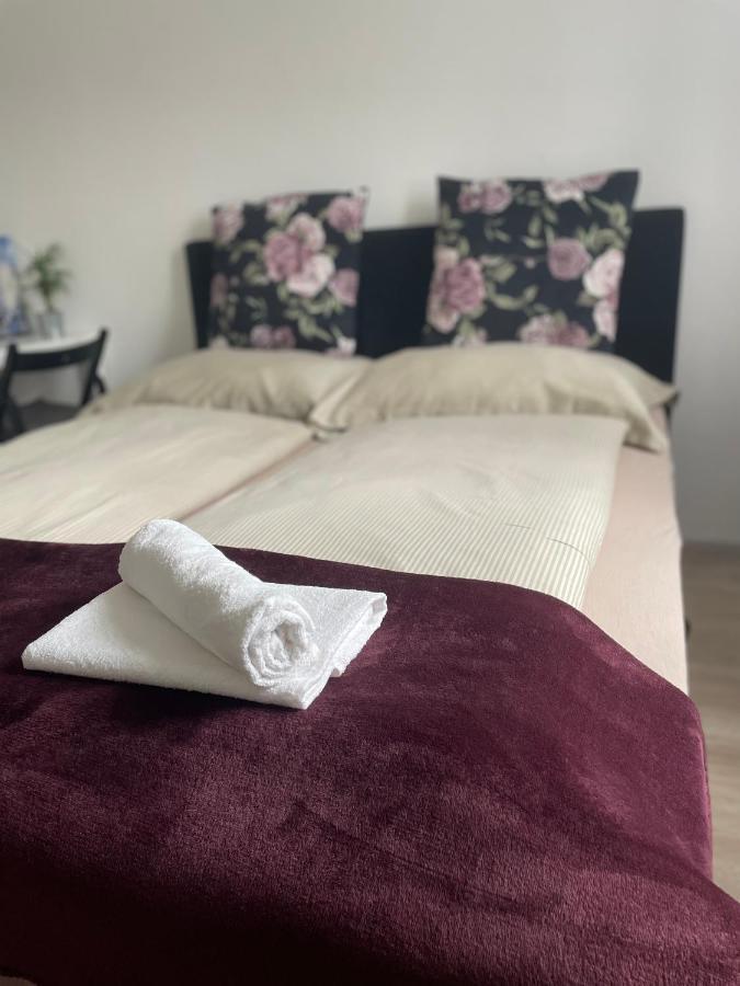 Salzach - Eco & Panorama Apartment Salzburg