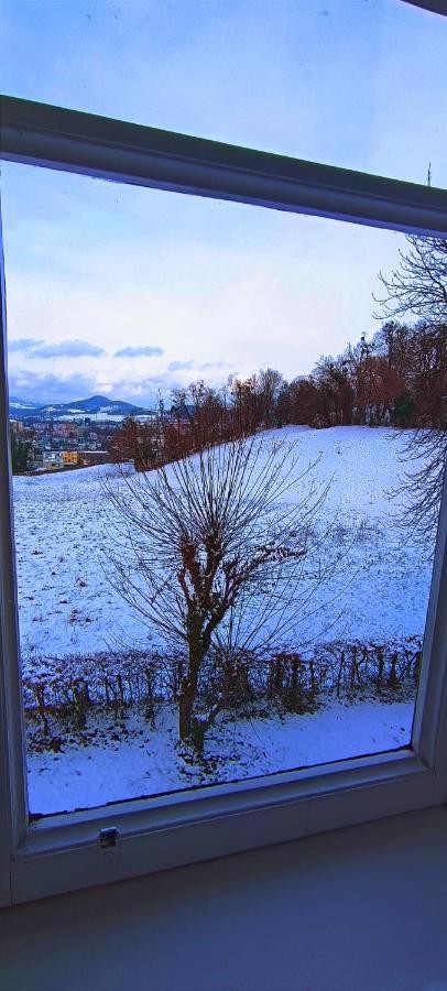 Johannes Schloessl - Gaestehaus Der Pallottiner Am Moenchsberg Homestay *