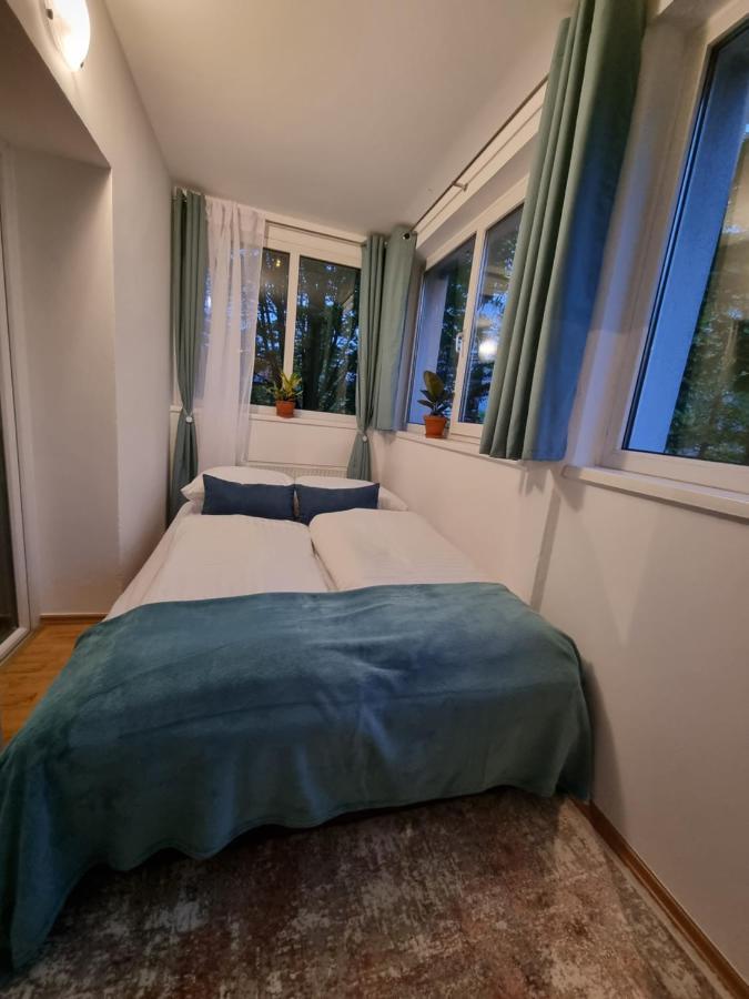 Cozy Nest Apartment