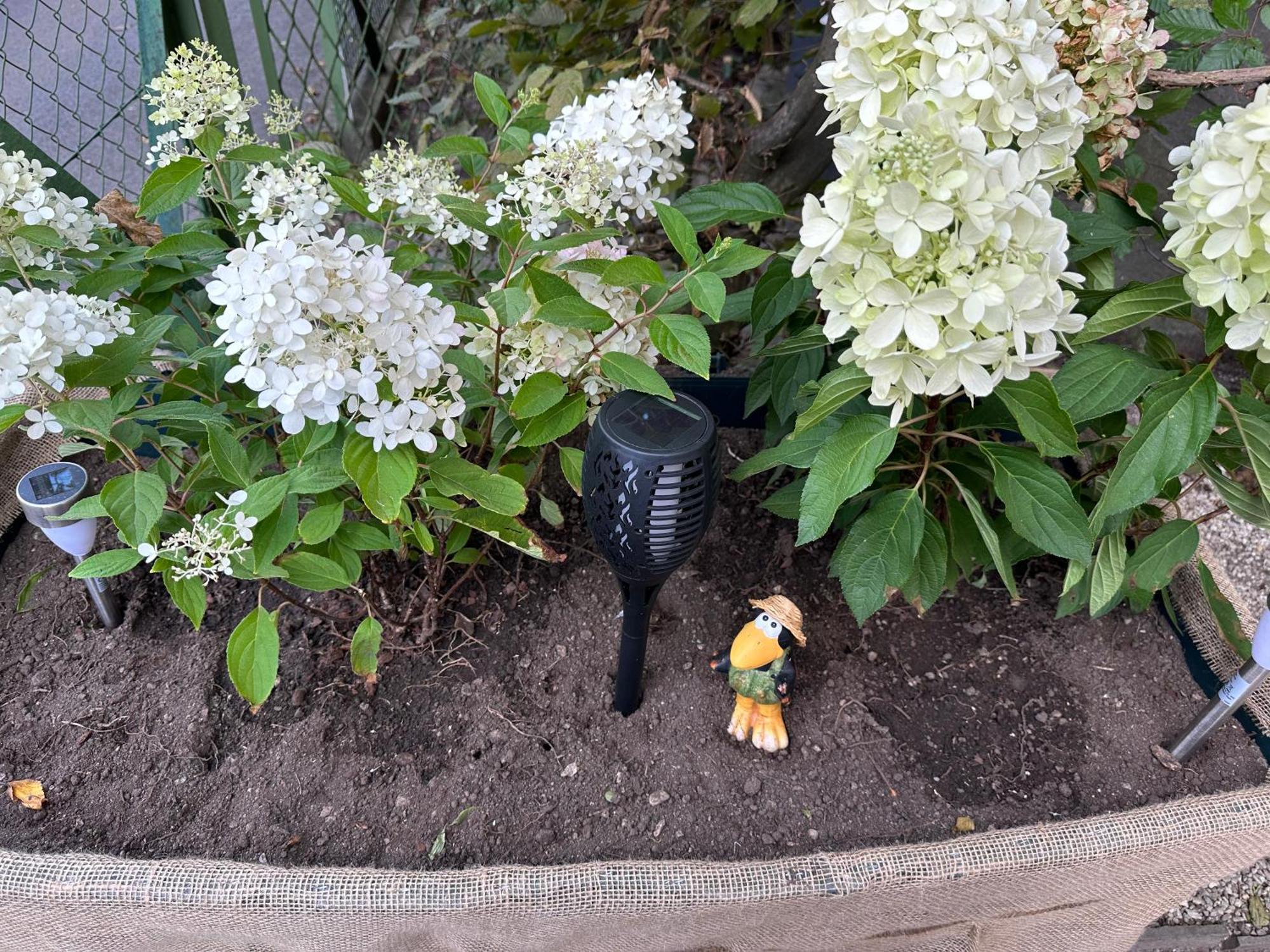 Natures Nest Garden With Free Parking Guest house