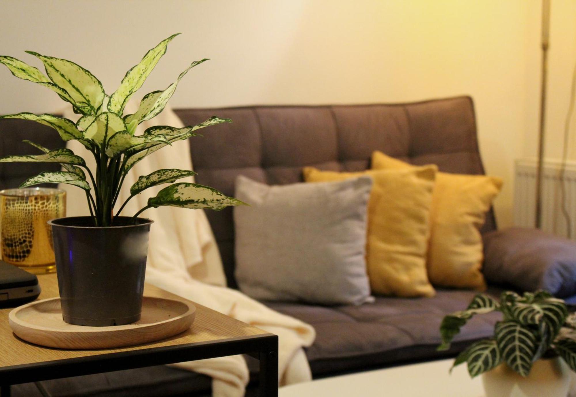 Colorful Apartment *
