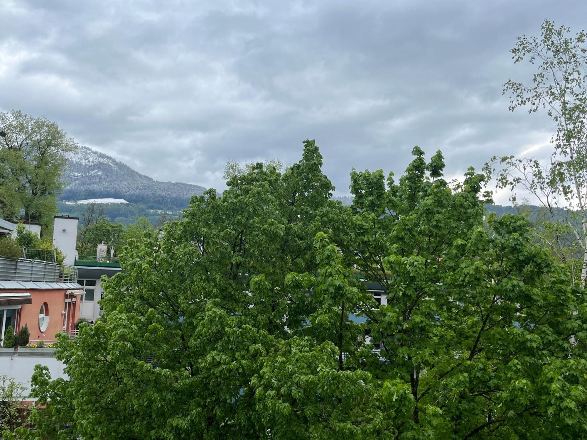 Apartment Einzelzimmer In Studentenheim *