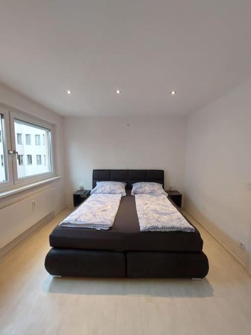 Modern - Perfectly Located Salzburg