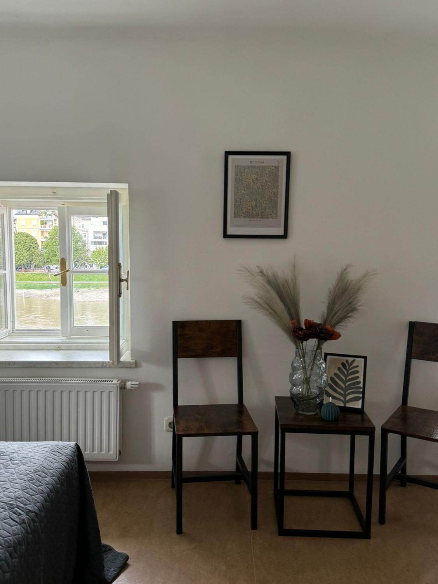 Salzach Apartment *