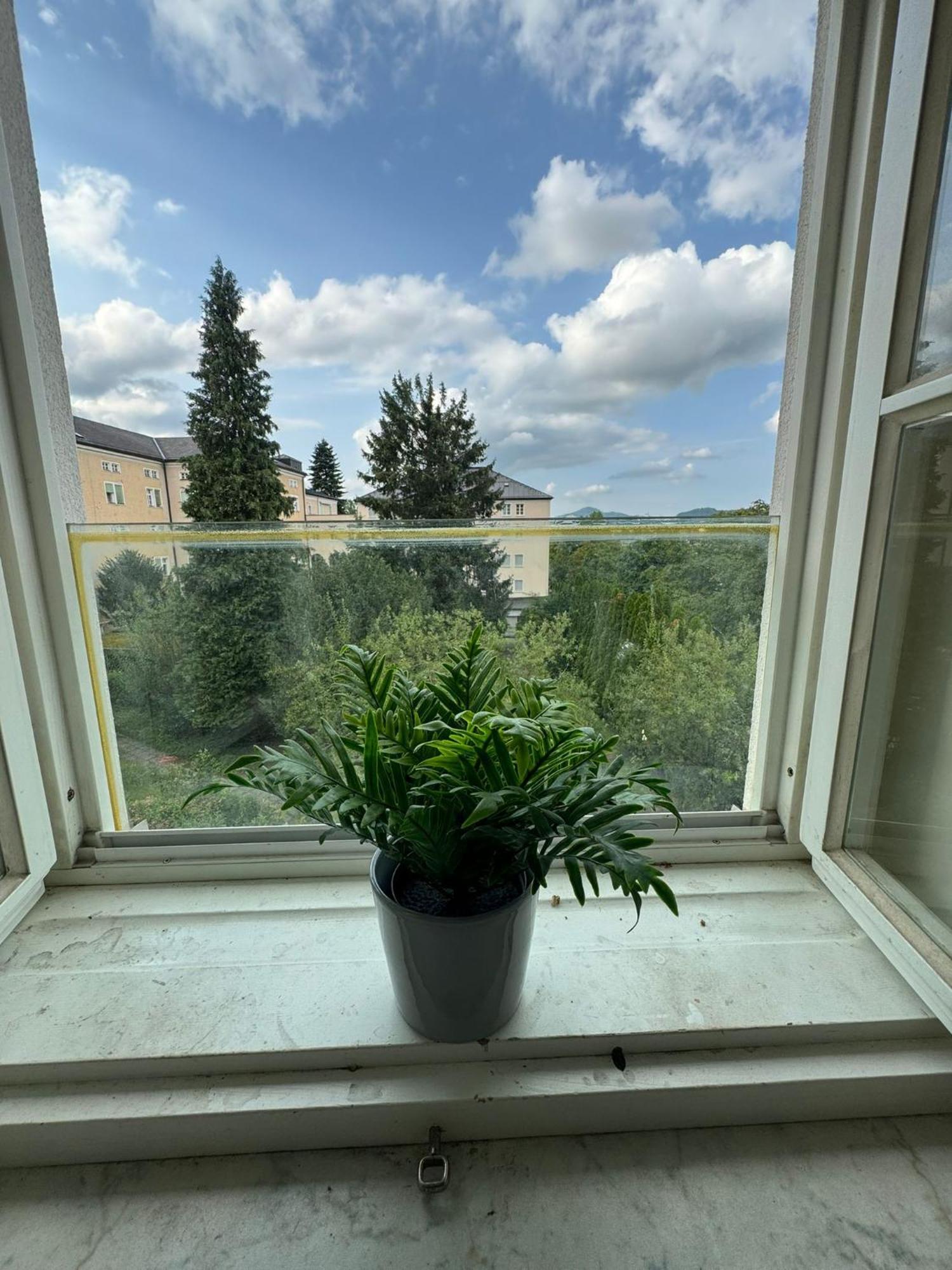 Salzach Apartment Salzburg