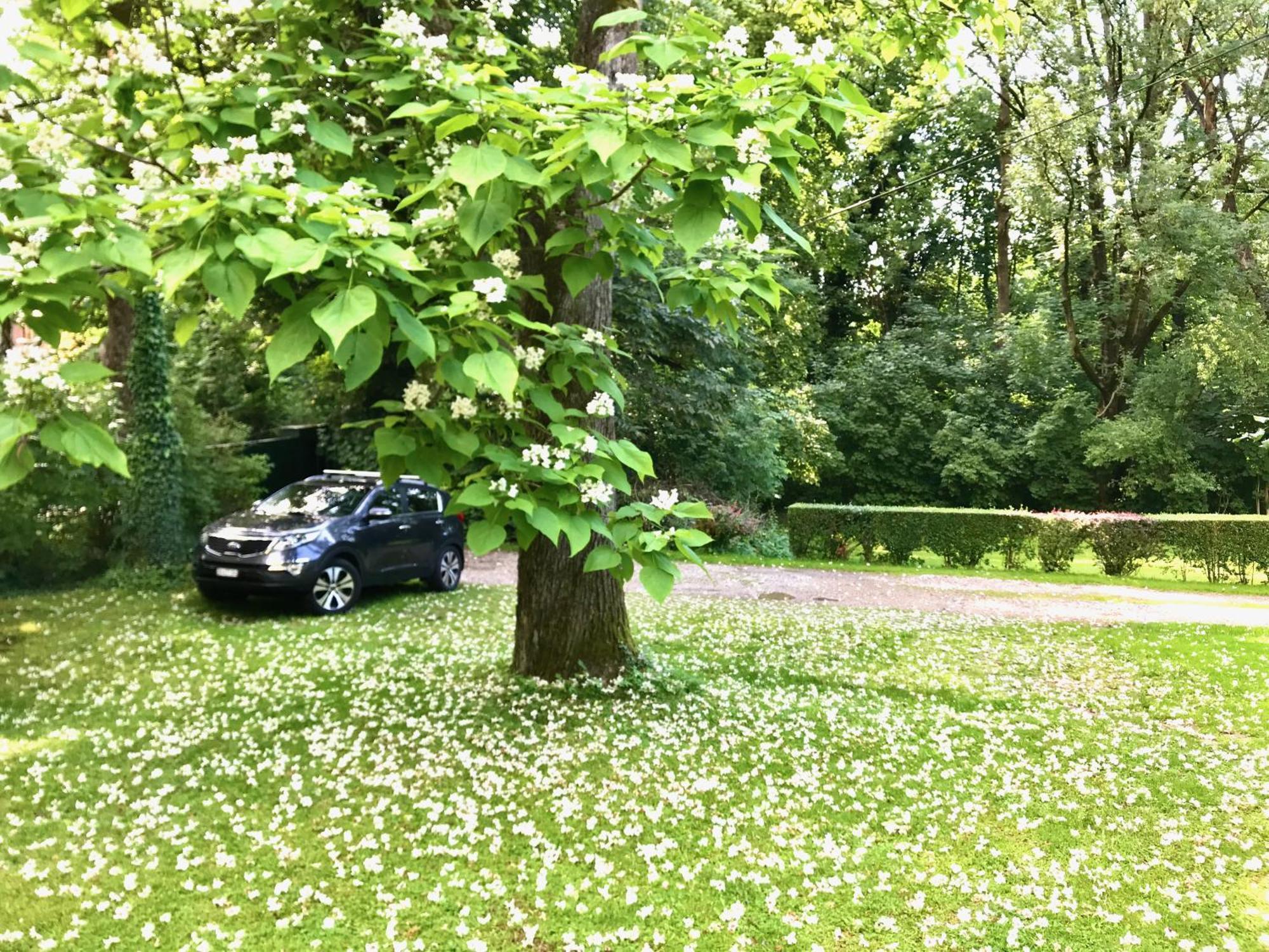 Schloss Mit Eigenem Garten & Parkplatz R