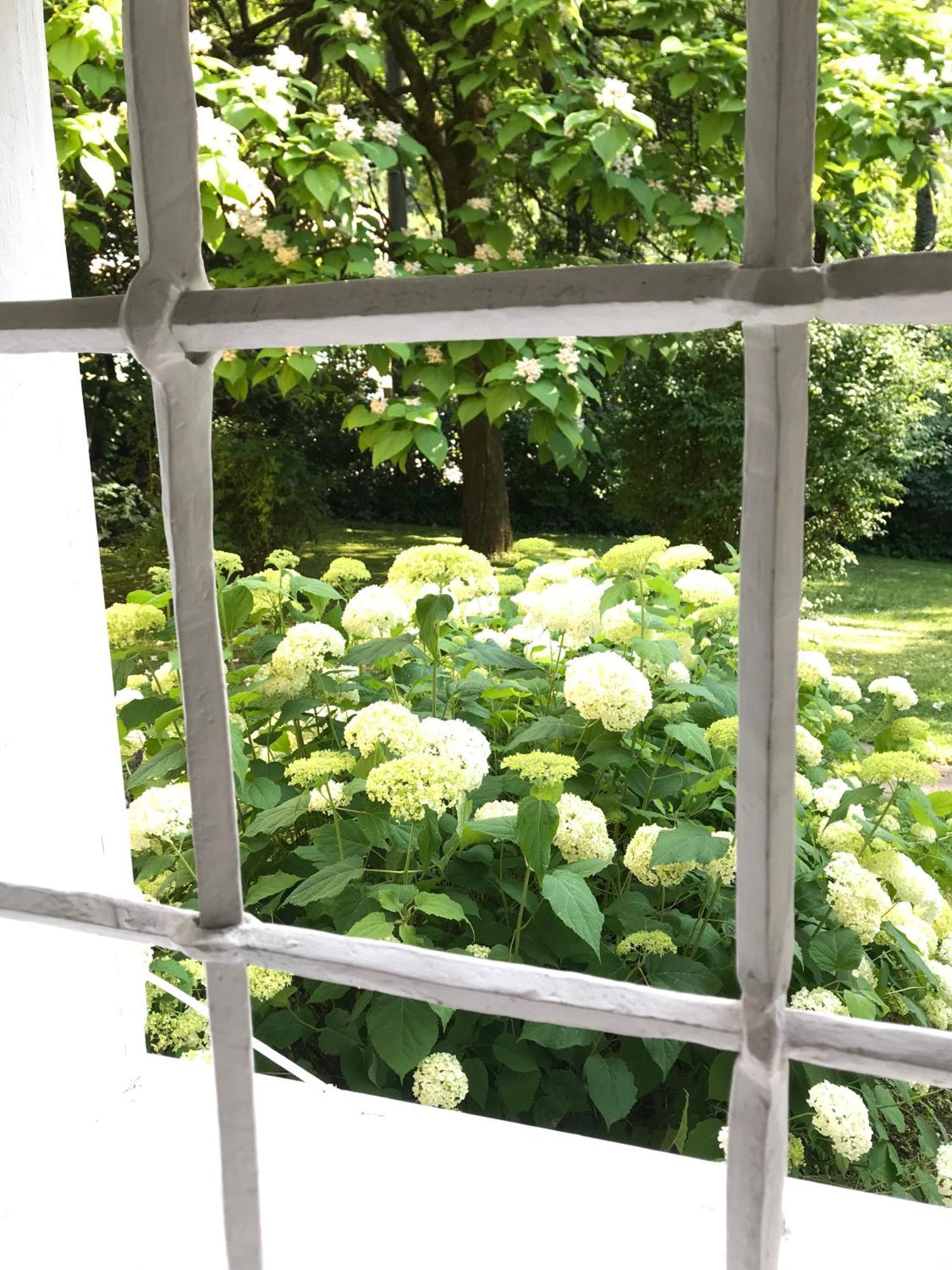Schloss Mit Eigenem Garten & Parkplatz R Apartment *