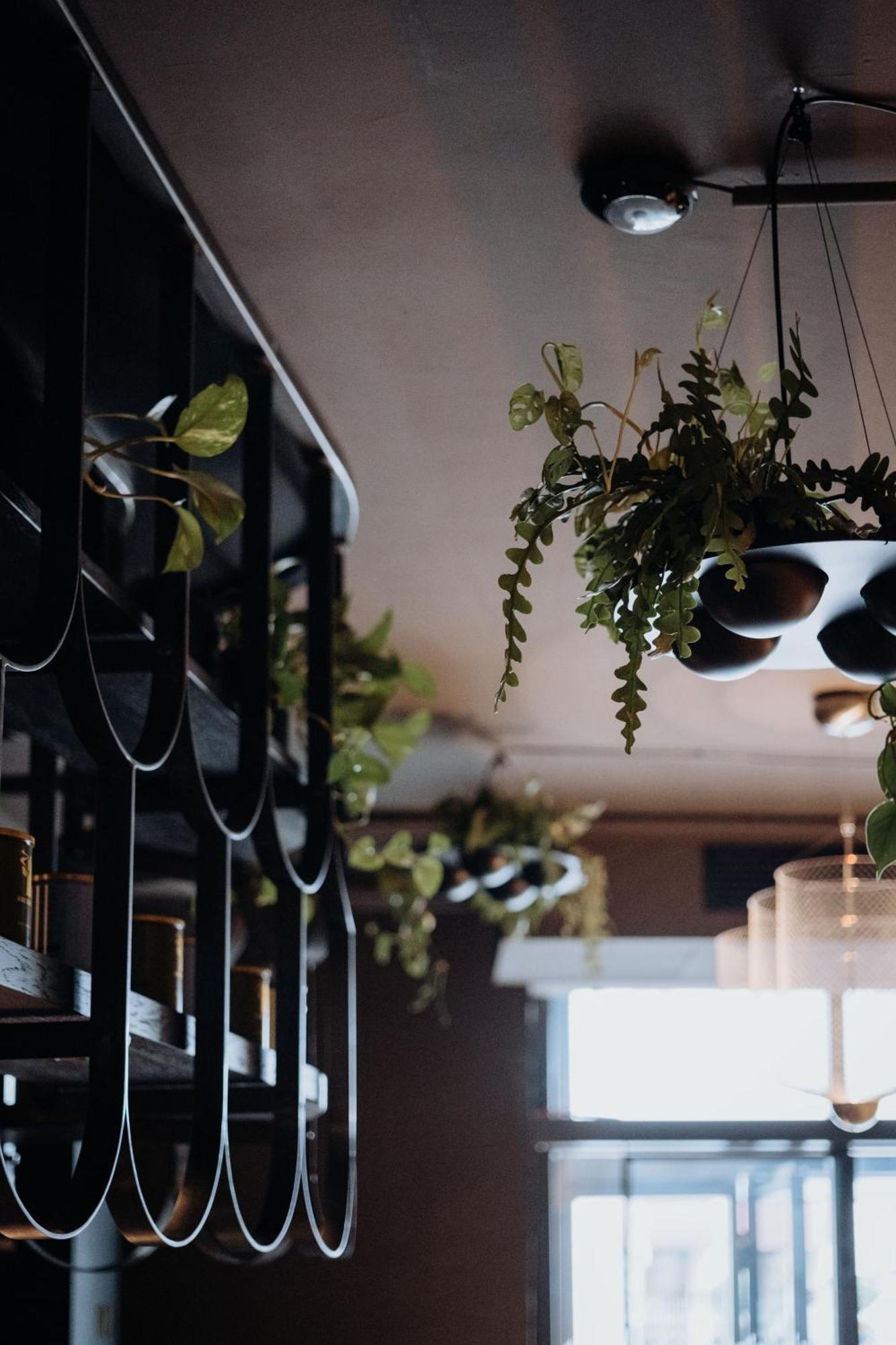 Hotel Gentle Hide Designhotel