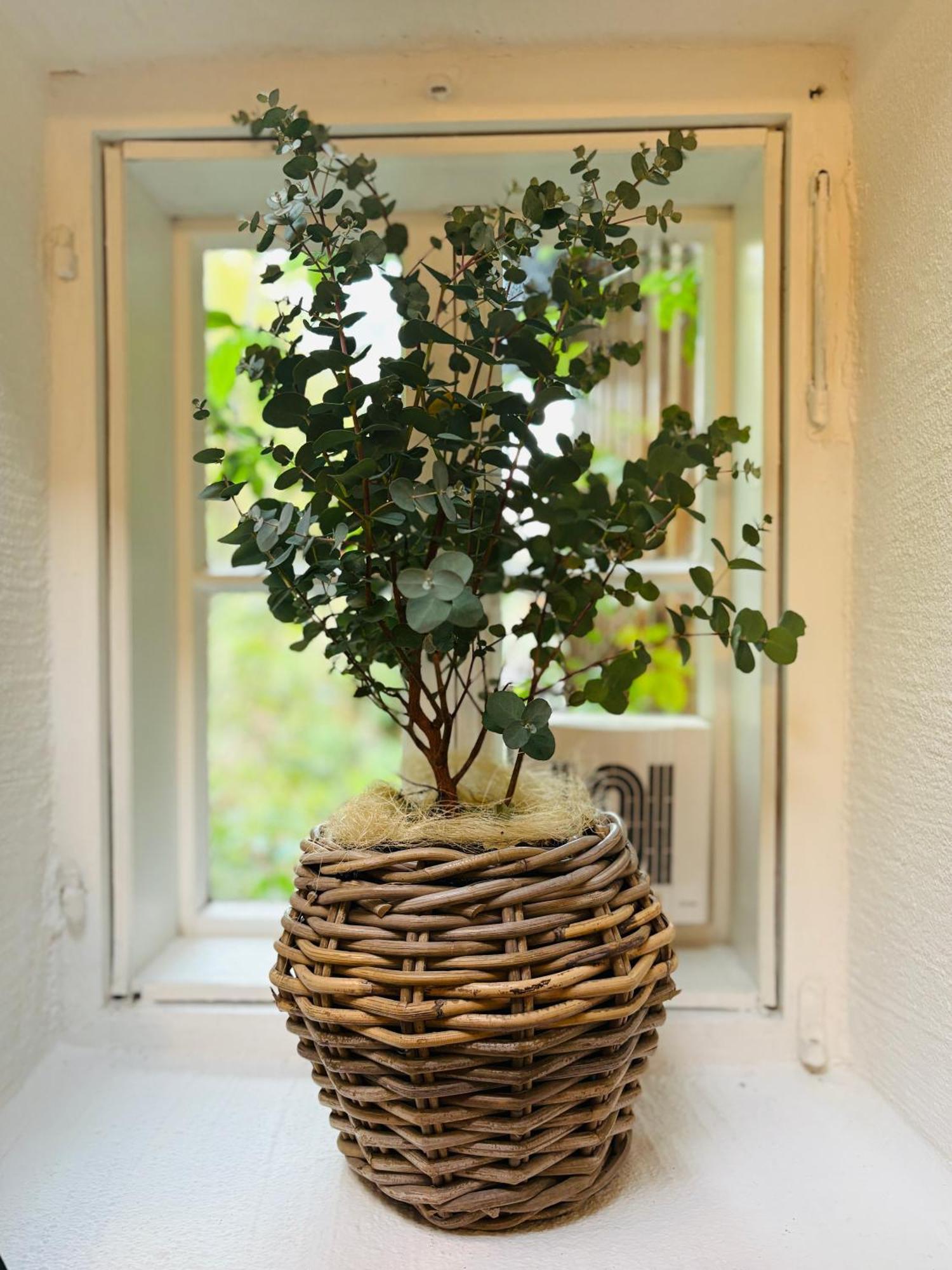 Apt. Stone-lodge Apartment Salzburg