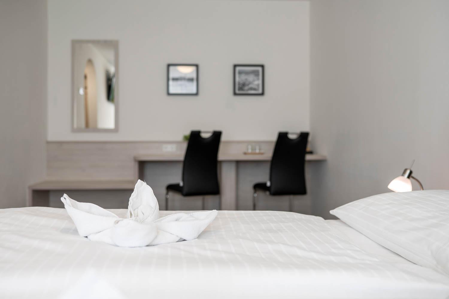 Hotel Ganslhof Hotel 3*