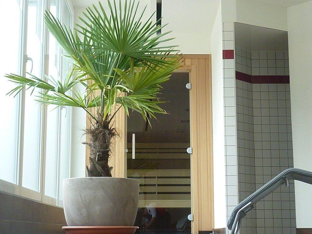Western Amedia Art Hotel 4*
