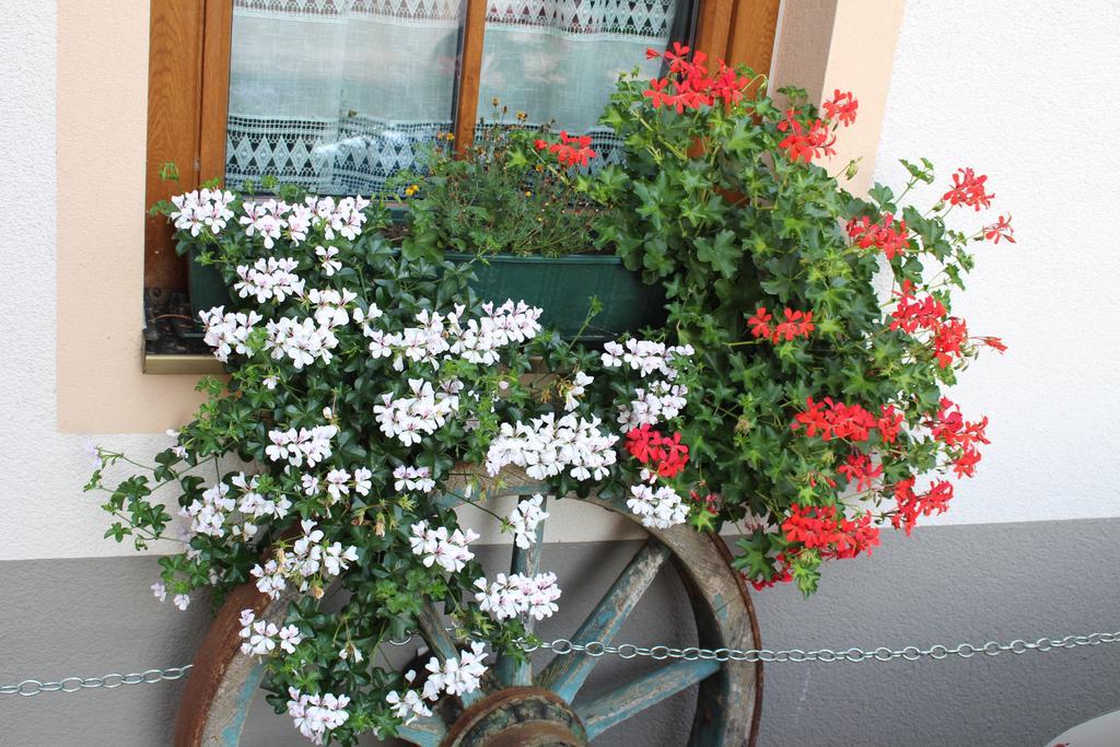 Fruehstueckspension Helmhof Guest house Salzburg