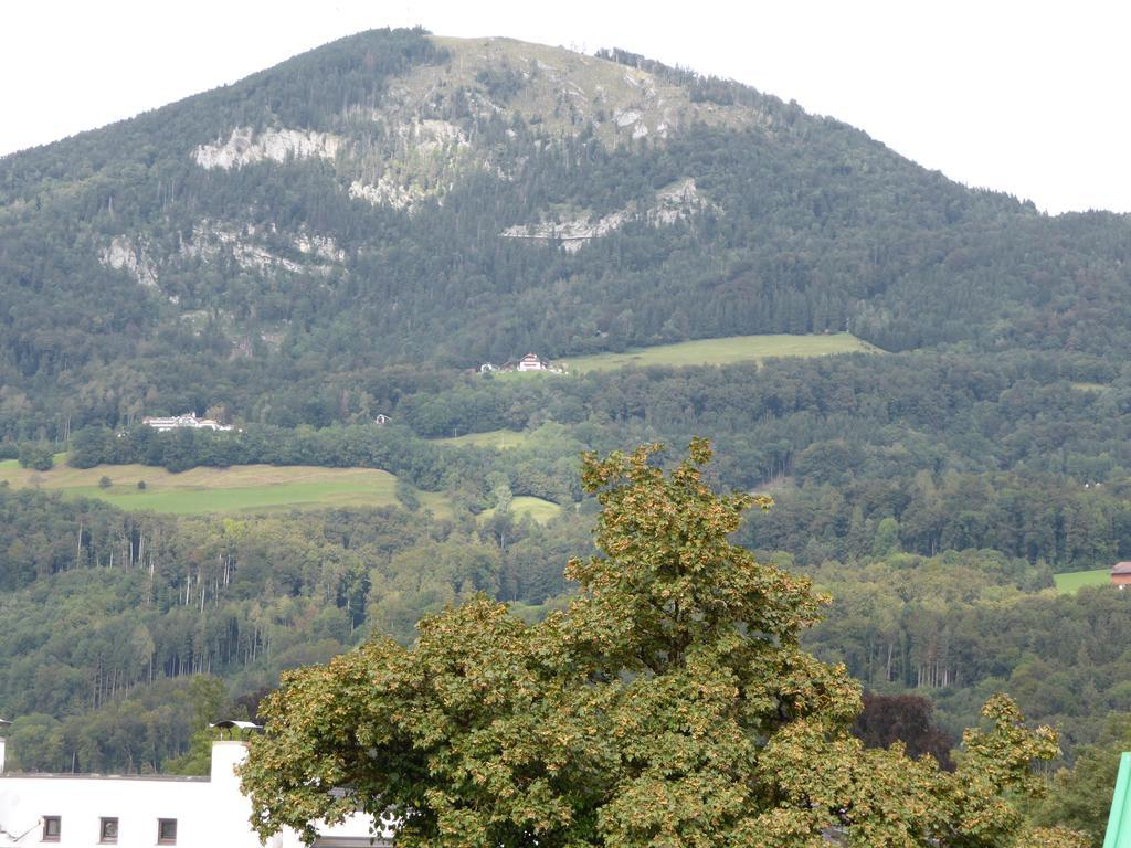 Apartamento Penthouse Lettner *