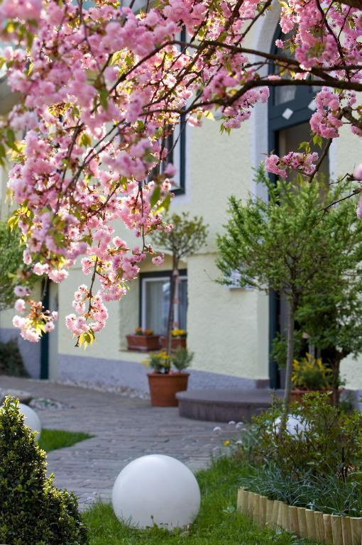 Rosenvilla Salzburg