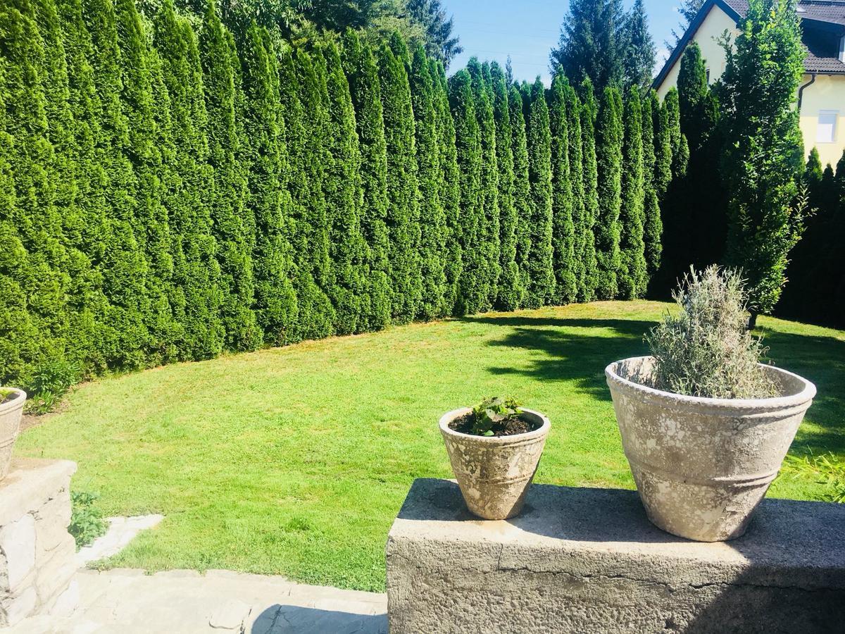 Townhouse Riva, Prime Location In The City Of Salzburg, 1000m2 Backyard