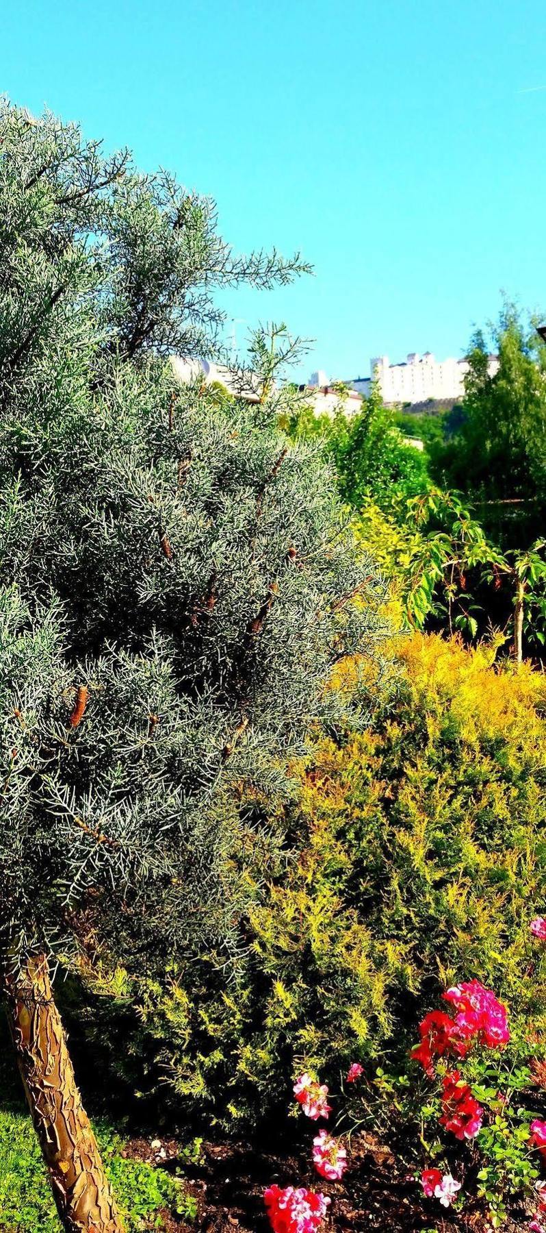 Via Roma Hotel 4*