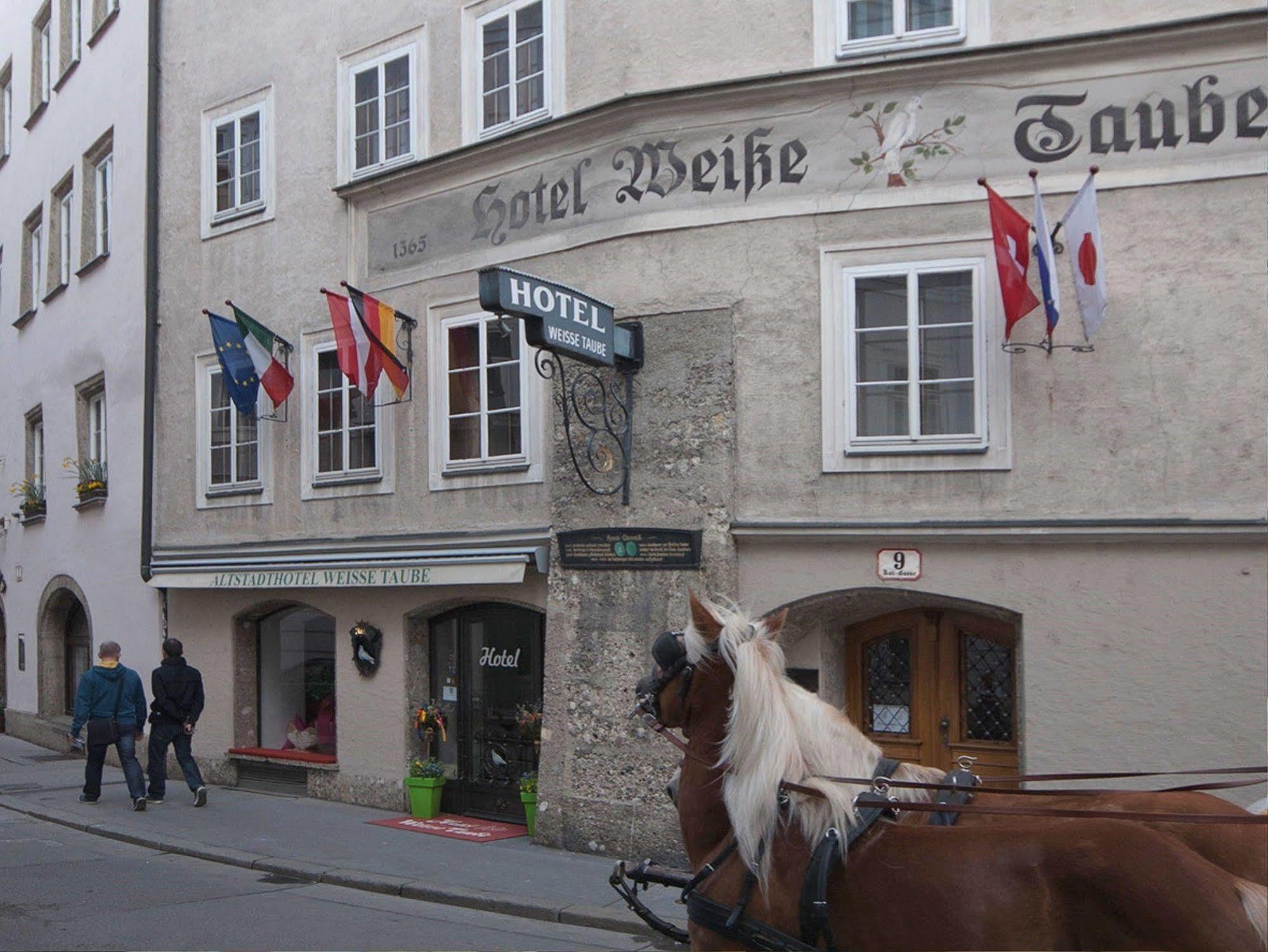 Altstadthotel Weisse Taube Hotel 4*