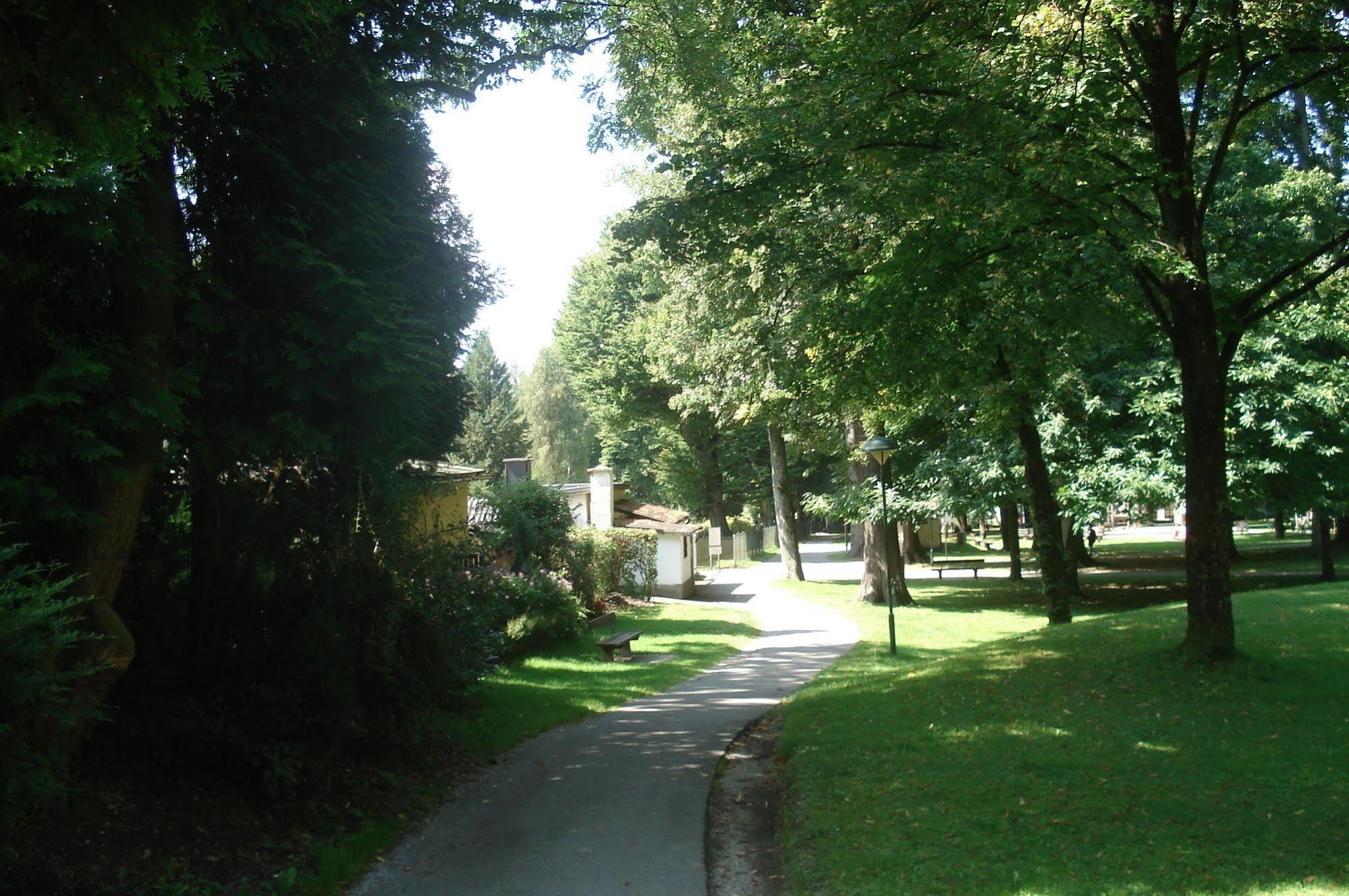 Hofmann Salzburg