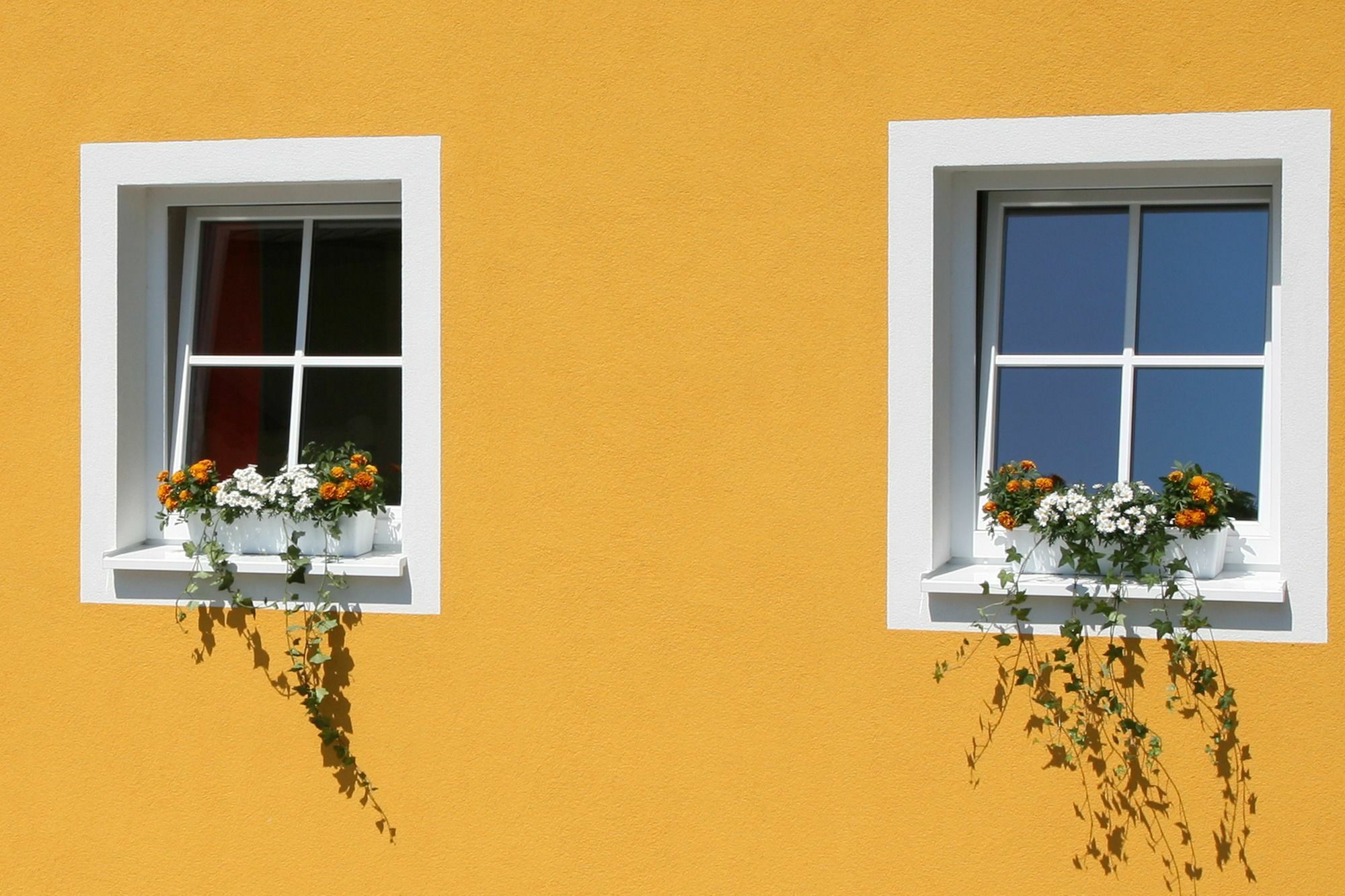 Apartment Ante Portas *